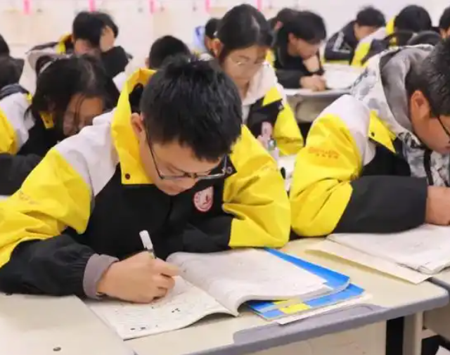 双减政策的落地由于这愈加突出了校园作