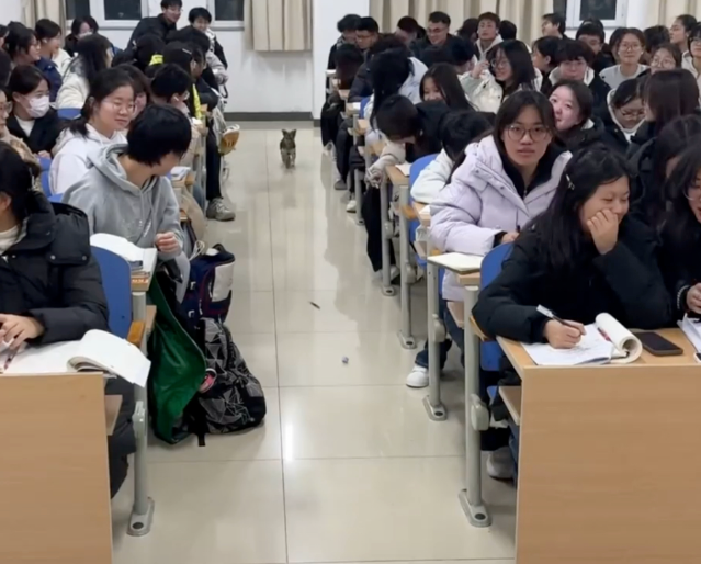 依托心思健康教育的科学方法增强思维政