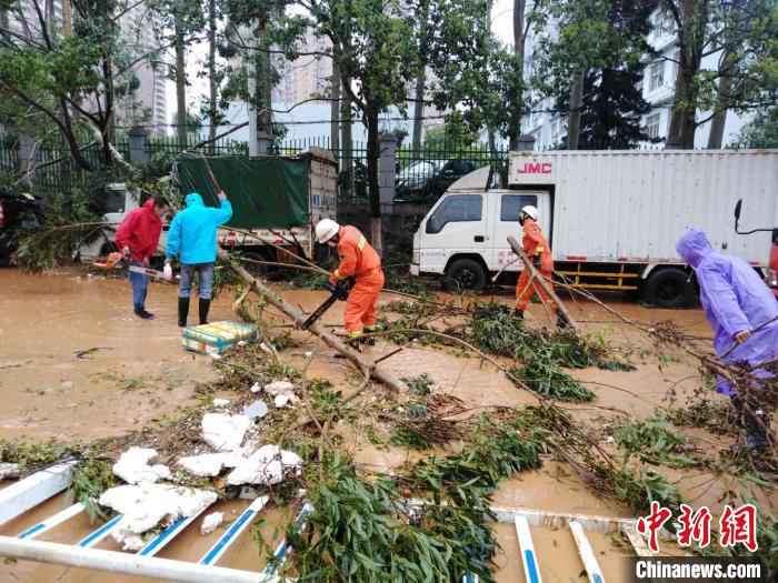 3月23日午间,江西省定南县遭受暴风、大雨、冰雹袭击,定南县城最大风力达31.6米/秒,超过11级。图为消防人员在清理倒在道路上的树木。 张睿 摄 江西遭遇冰雹、大风灾害袭击 强度创局地历史纪录